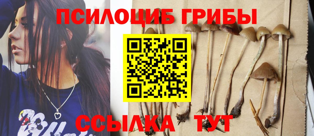 Галлюциногенные грибы MAGIC MUSHROOMS  Вход с VPN  Галлюциногенные грибы Cubensis  Луга 
