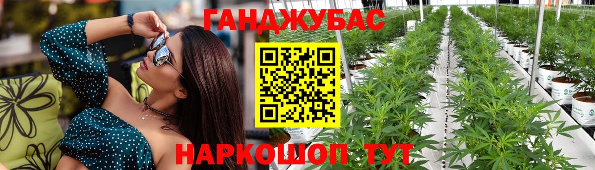 Канабис индика  Вход с VPN  Каннабис сатива  Бошки Шишки Amnesia  Луга 
